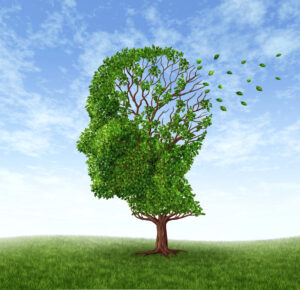 Forget forgetting – simple ways to improve your memory