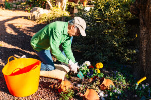 Volunteering in retirement: finding purpose, structure, and joy